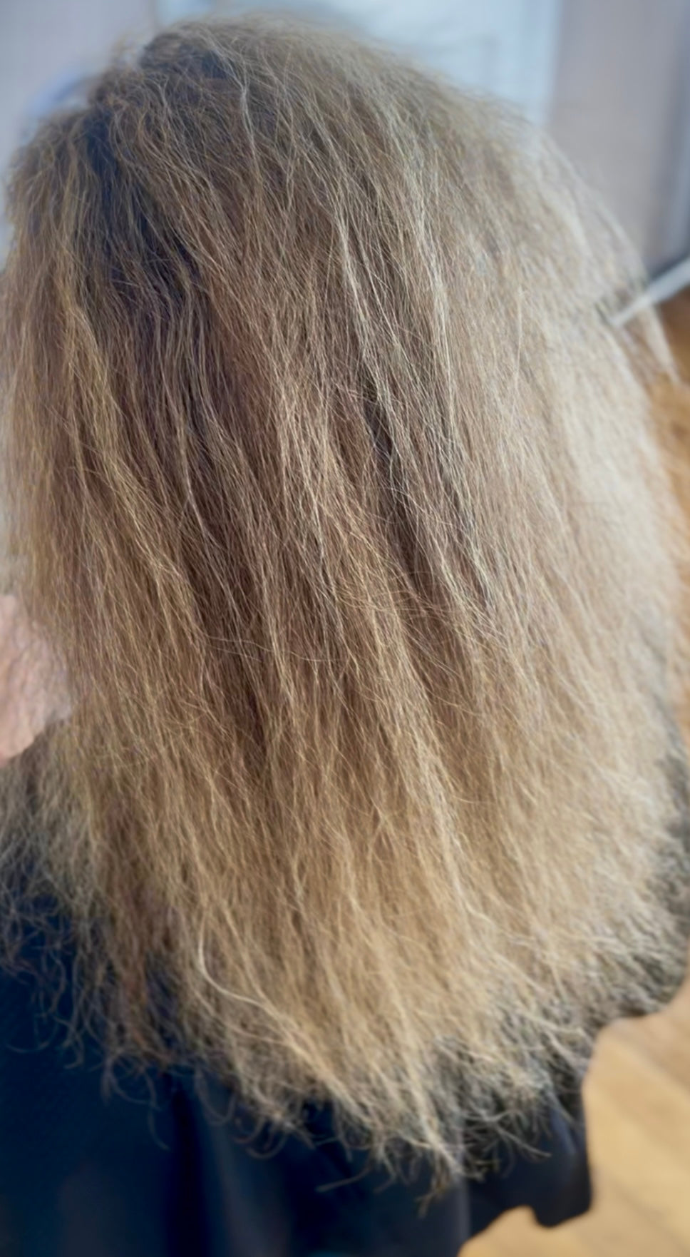 Before Brazilian Blowout — dry damaged frizzy hair