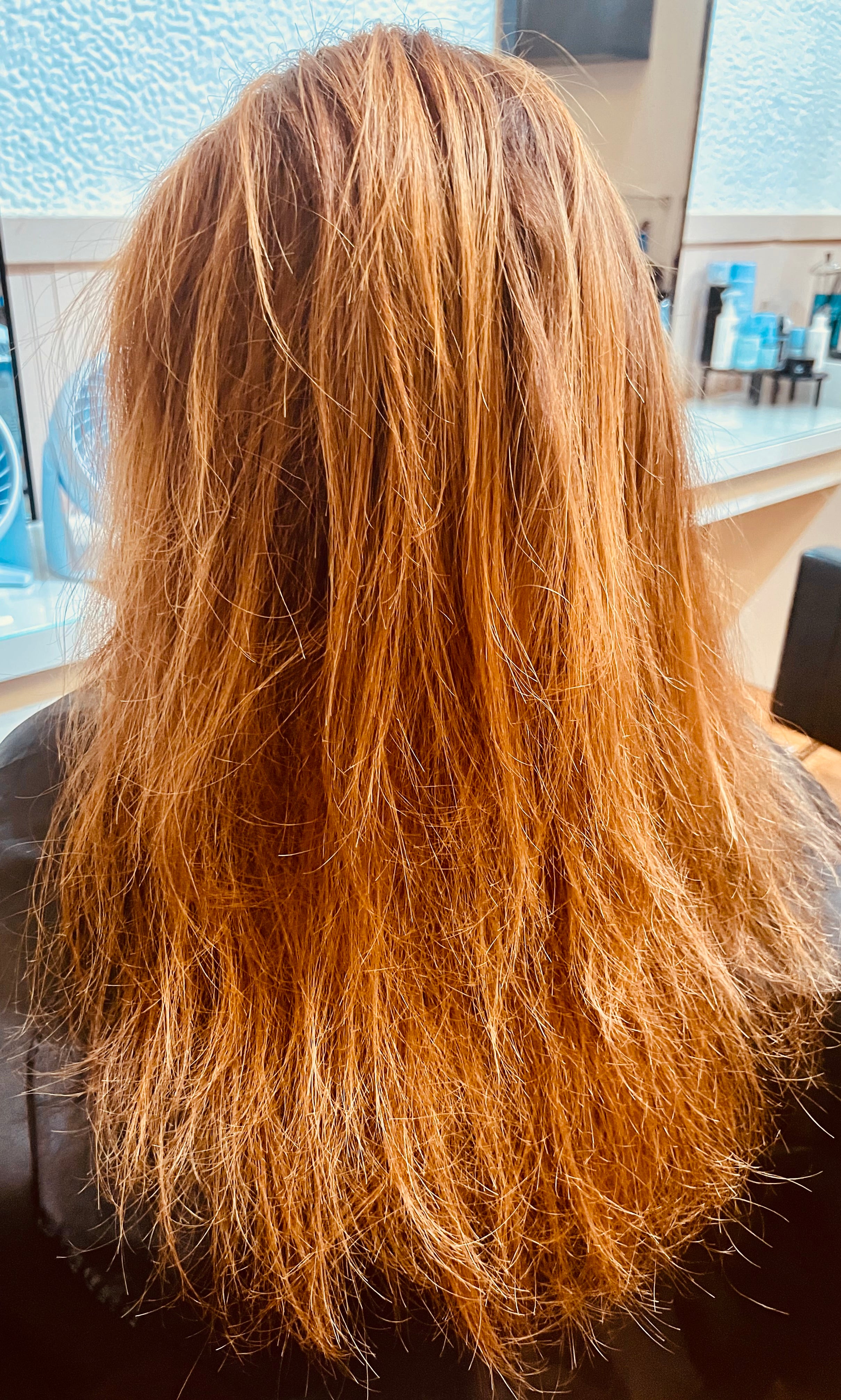 Before Brazilian Blowout treatment — thick frizzy hair