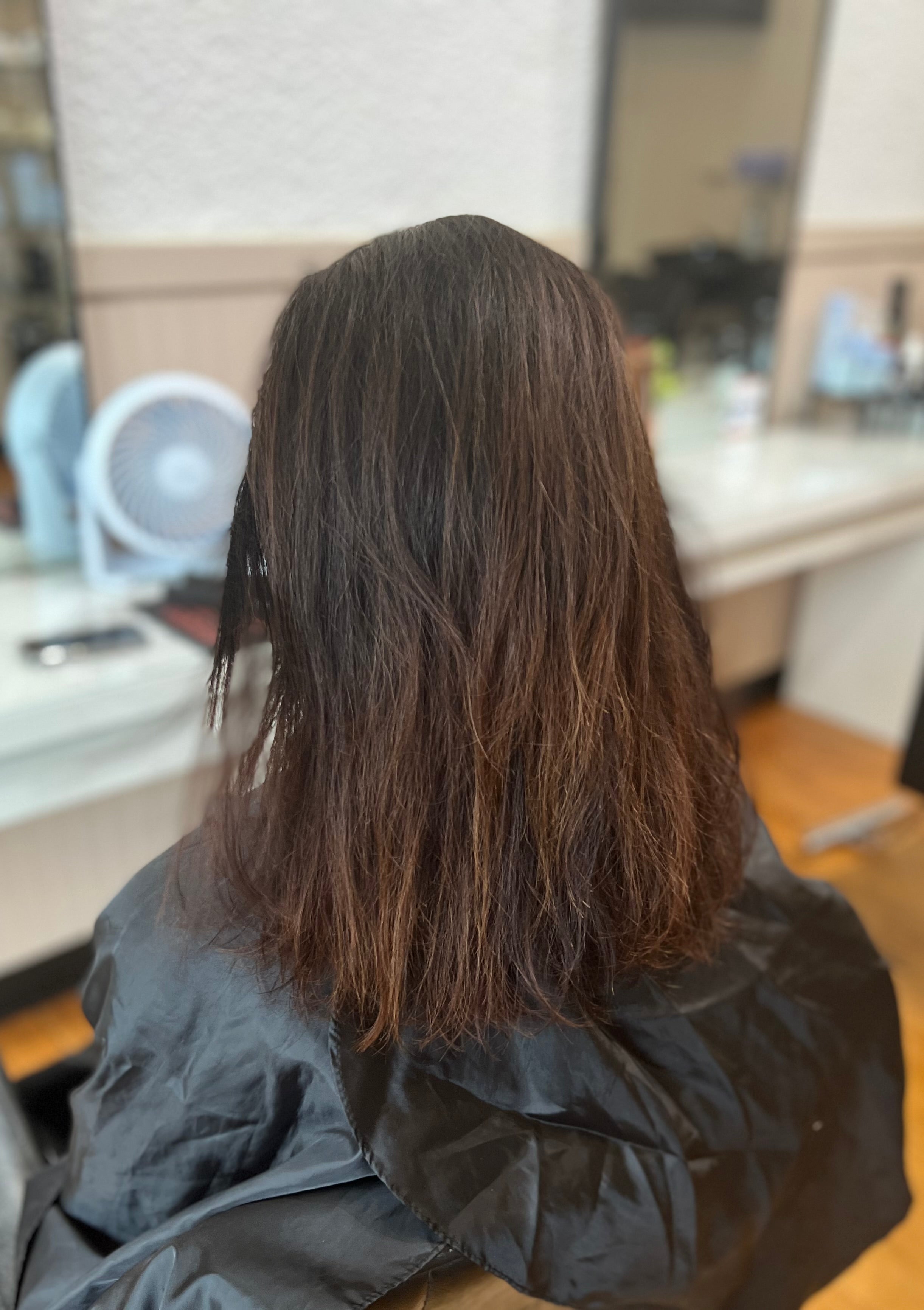Before Brazilian Blowout — dry frizzy hair at Brazilian Blowout Boston