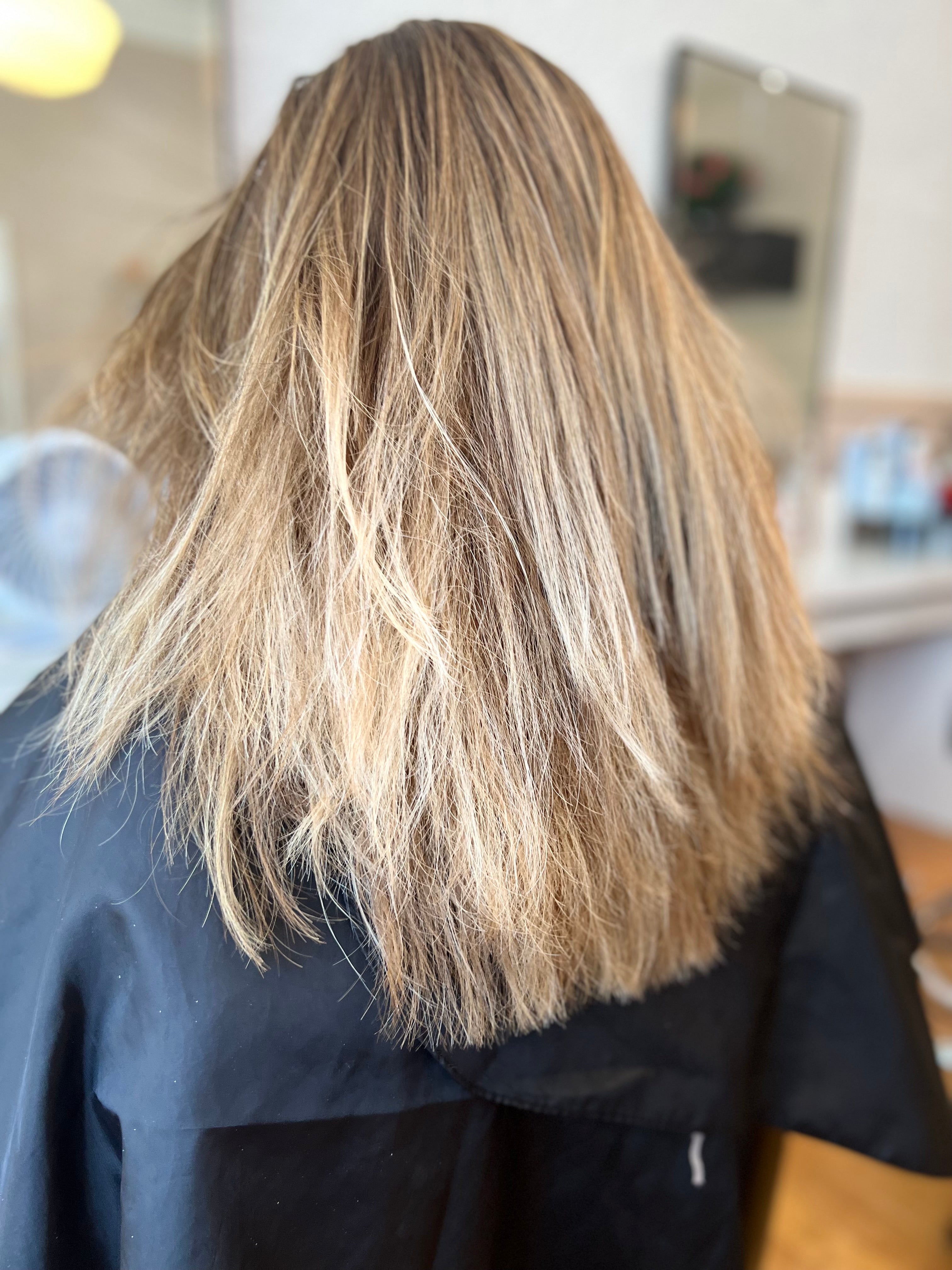 Before Brazilian Blowout smoothing treatment — frizzy natural hair in Boston salon