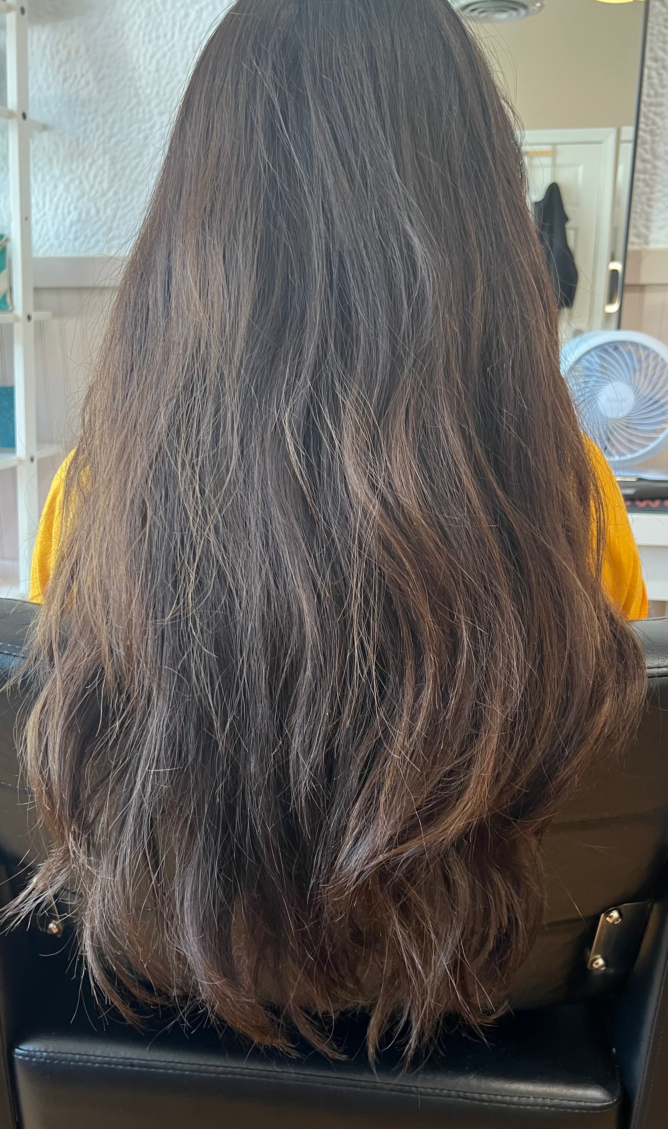 Before Brazilian Blowout treatment — thick coarse frizzy hair
